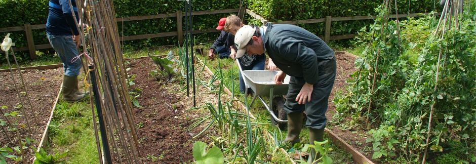 Burrow Down Day Opportunities